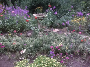 Professional landscaping services in Mount Laurel, NJ by Slate Landscape, Inc