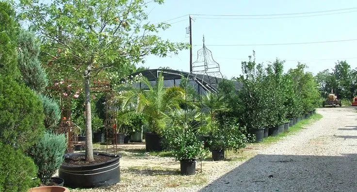 Professional landscape installation in Rowlett, TX by Slater Lawn & Garden