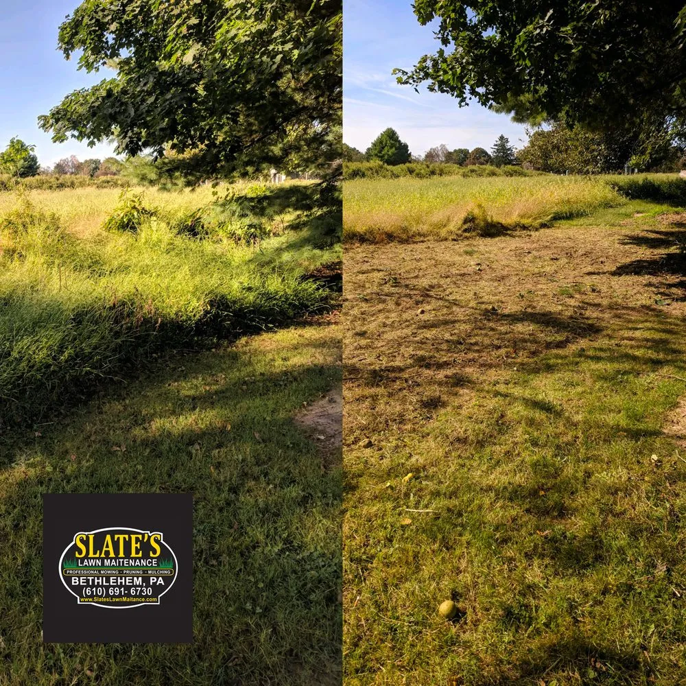 Local landscaping services for year-round maintenance in Upper Black Eddy, PA by Slate's Lawn Maintenance