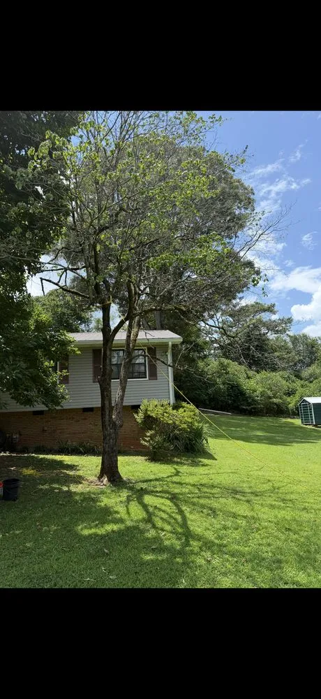 Top-rated residential landscaping for outdoor upgrades across Alexandria, AL - Slaton Outdoor Services