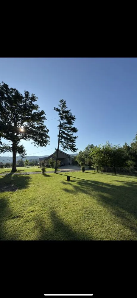 Top-rated yard cleanup service in Alexandria, AL by Slaton Outdoor Services