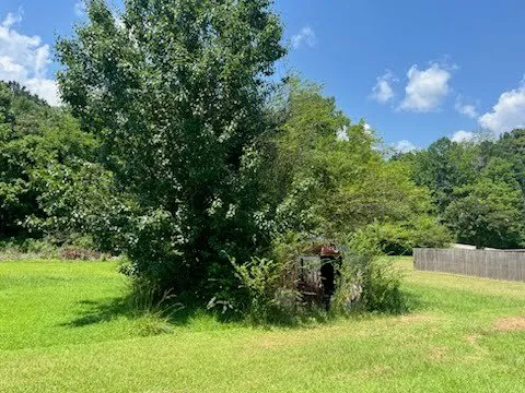 Reliable residential landscaping experts serving Alexandria, AL - Slaton Outdoor Services