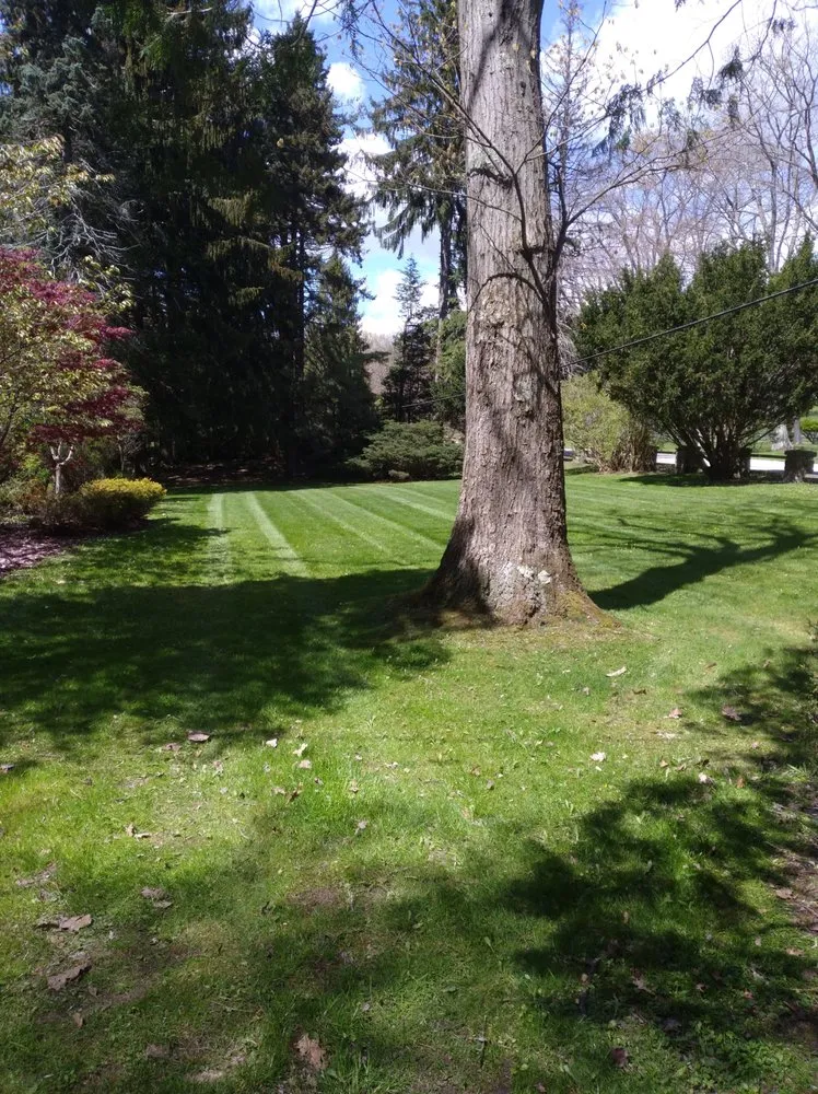 Affordable garden landscaping for outdoor upgrades in Markleysburg, PA by Slaughter Lawncare & Excavation