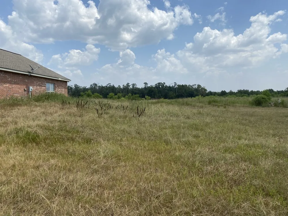 Reliable lawn mowing service in Reeves, LA by Slayden’s Lawn Care