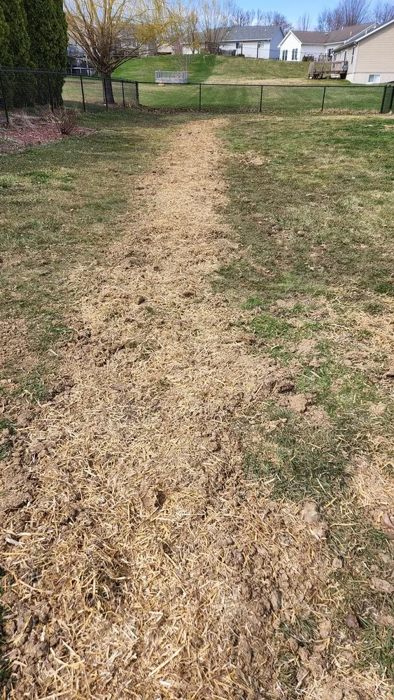 Local residential landscaping for year-round maintenance in Cedar Rapids, IA by Slaymaker Landscaping