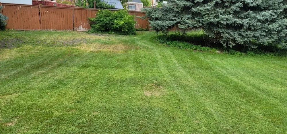 Custom yard maintenance for year-round maintenance across West Valley City, UT - SLC Groundskeepers