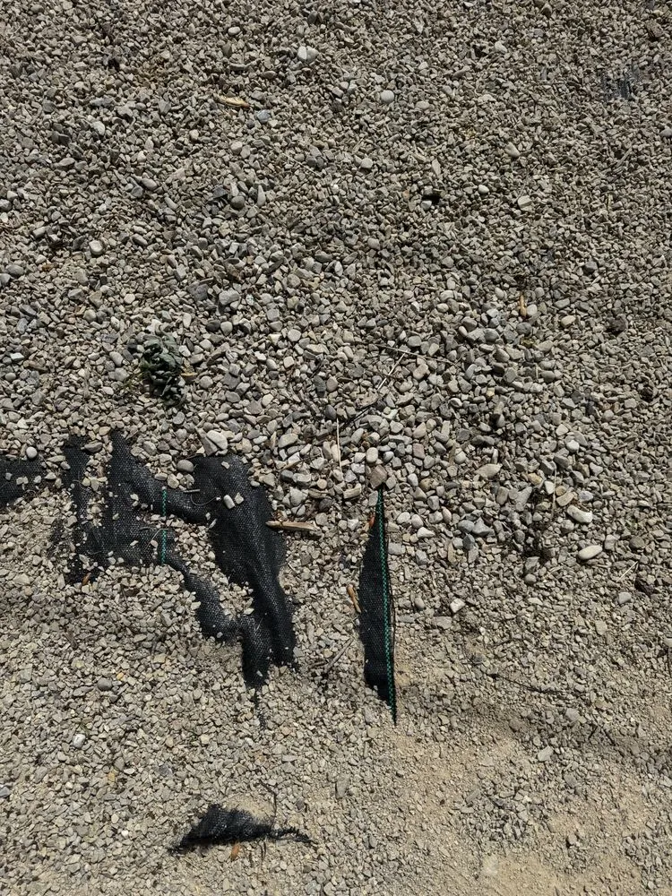 Expert lawn care service for year-round maintenance in Salt Lake City, UT by SLC Irrigation & Landscape