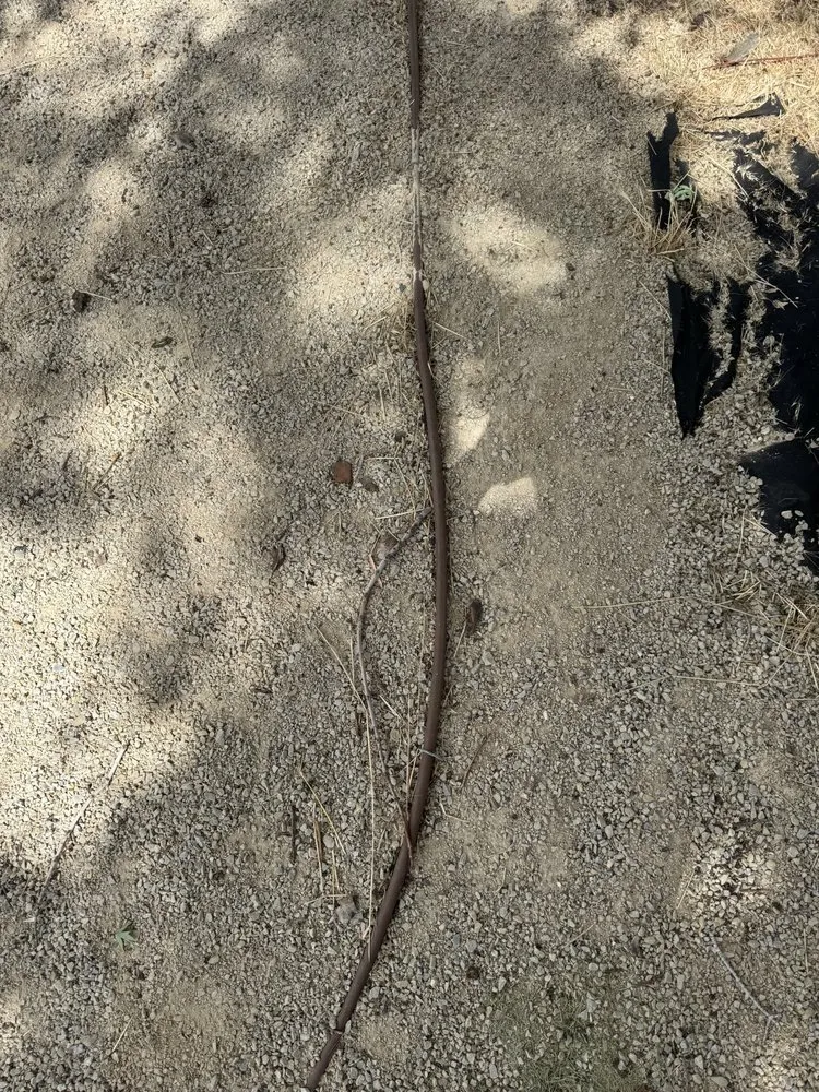 Professional yard cleanup service experts serving Salt Lake City, UT - SLC Irrigation & Landscape