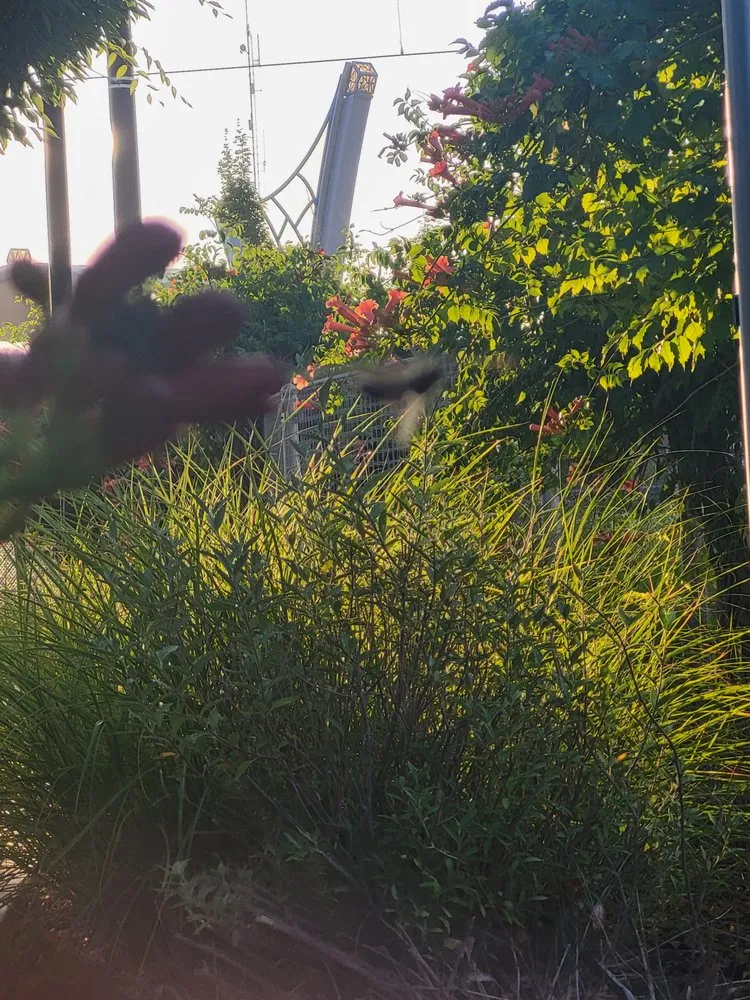 Trusted outdoor landscaping with custom design across Salt Lake City, UT - SLC Irrigation & Landscape