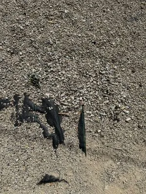 SLC Irrigation & Landscape Logo