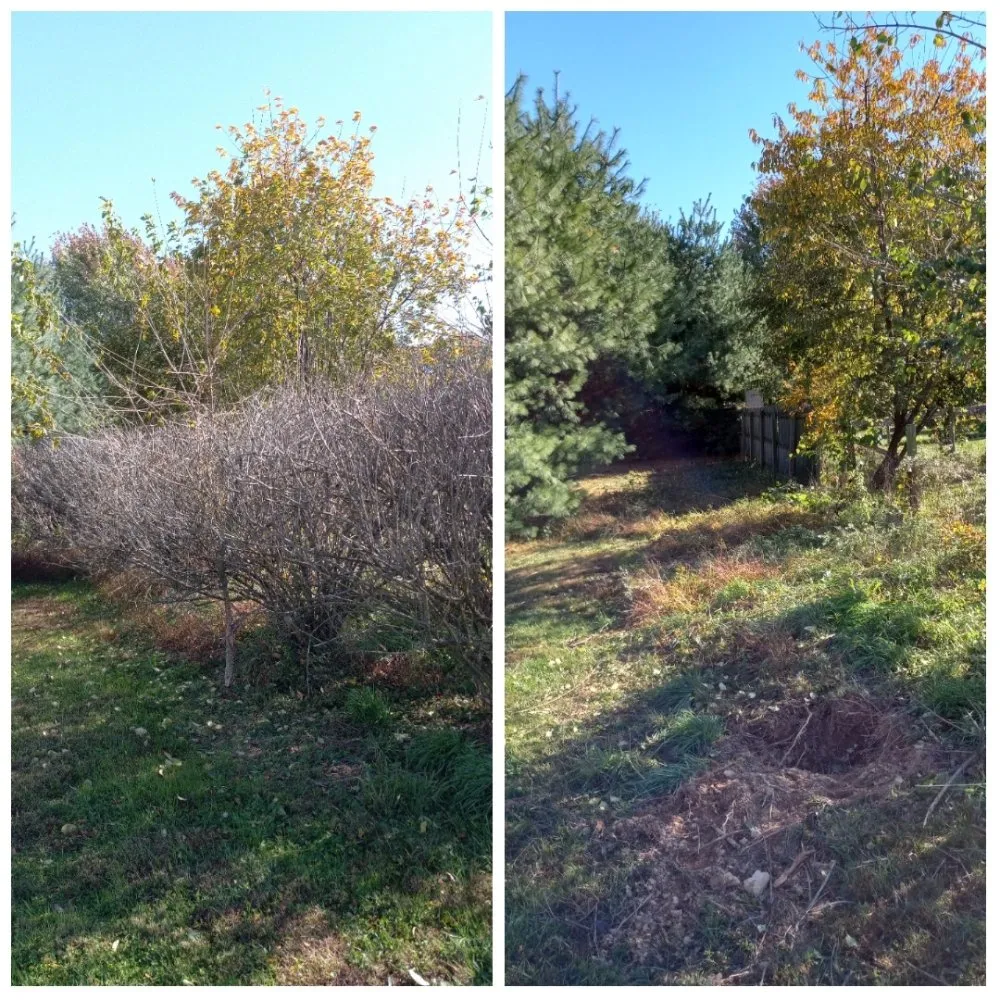 Custom landscape installation for year-round maintenance in Lebanon, PA by SLC Landscape Company