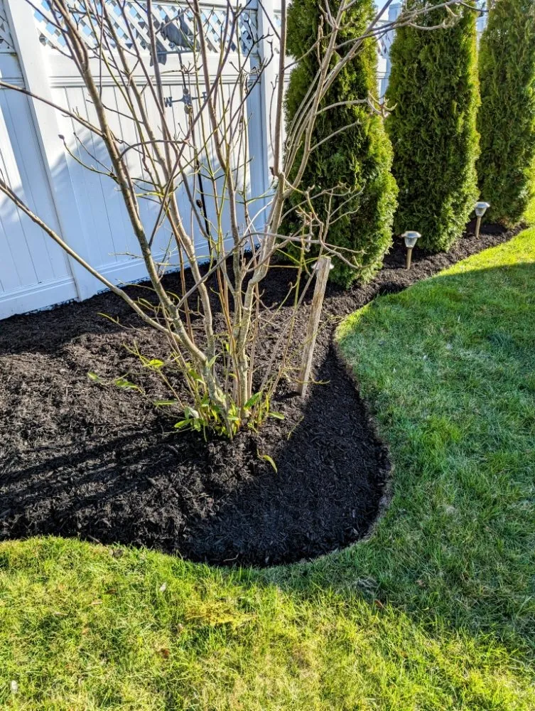 Trusted yard cleanup service in Lebanon, PA by SLC Landscape Company