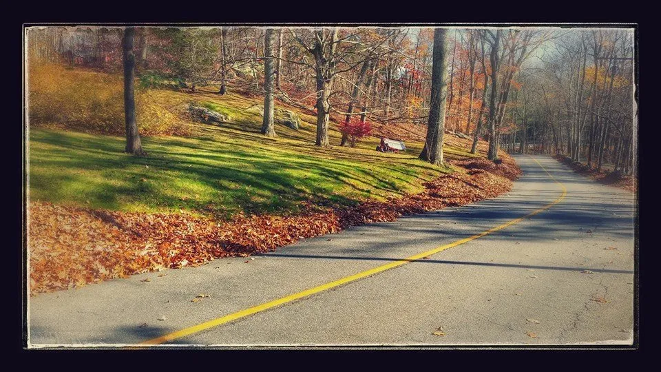 Custom lawn care service in Deep River, CT - SLC Landscaping