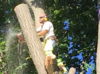 Professional landscape design in Deep River, CT - SLC Landscaping