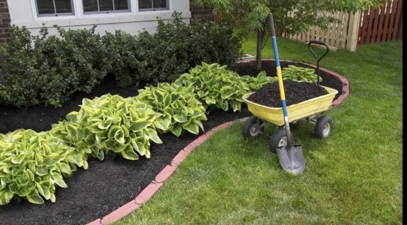 Trusted residential landscaping experts serving Apopka, FL - SLC Landscaping Services