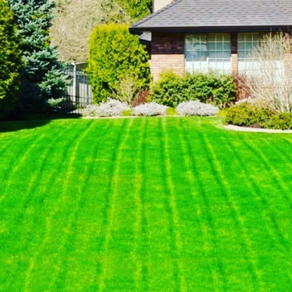 Reliable landscape installation experts serving Antelope, CA - Slc Lawn Care
