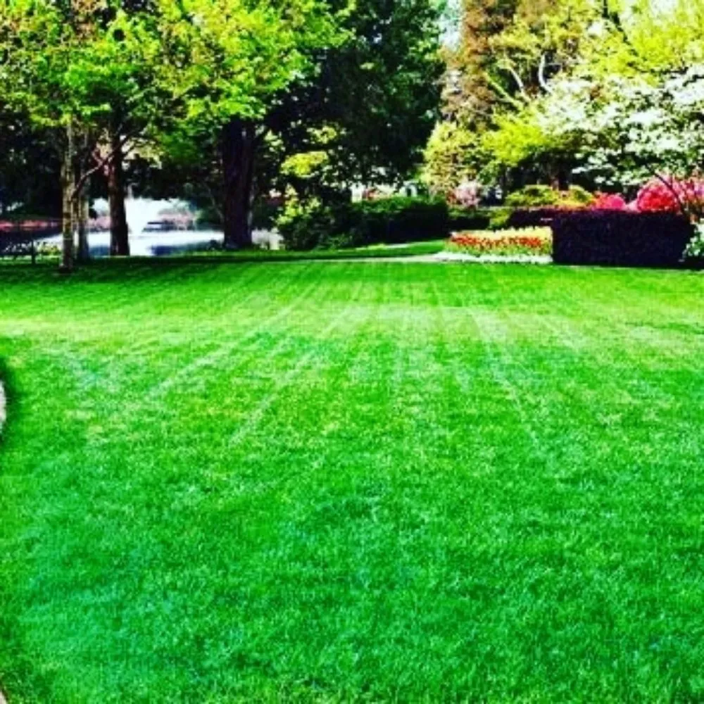 Trusted garden landscaping for beautiful yards in Antelope, CA by Slc Lawn Care