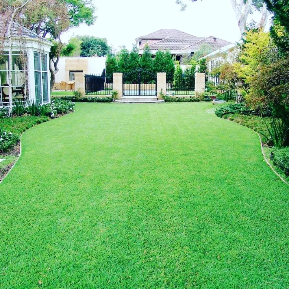 Reliable lawn care service in Antelope, CA by Slc Lawn Care