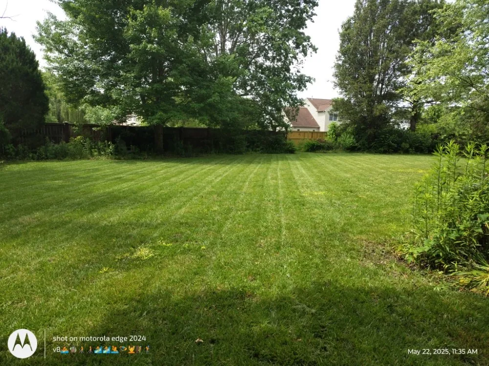 Top-rated yard maintenance for residential properties in Windsor, VA by SLD Affordable Lawn and Contracting Services
