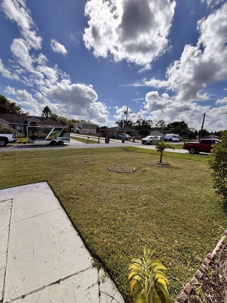 Reliable lawn care service in Orlando, FL by Sleber Lawn Care