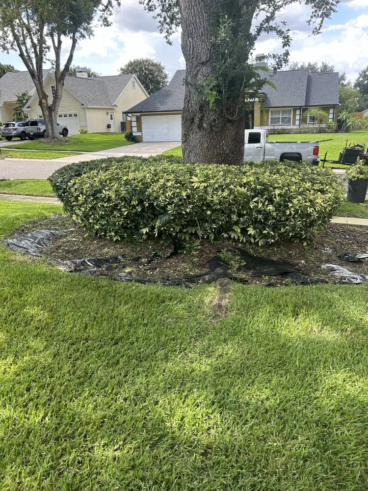 Expert landscape installation experts serving Orlando, FL - Sleber Lawn Care