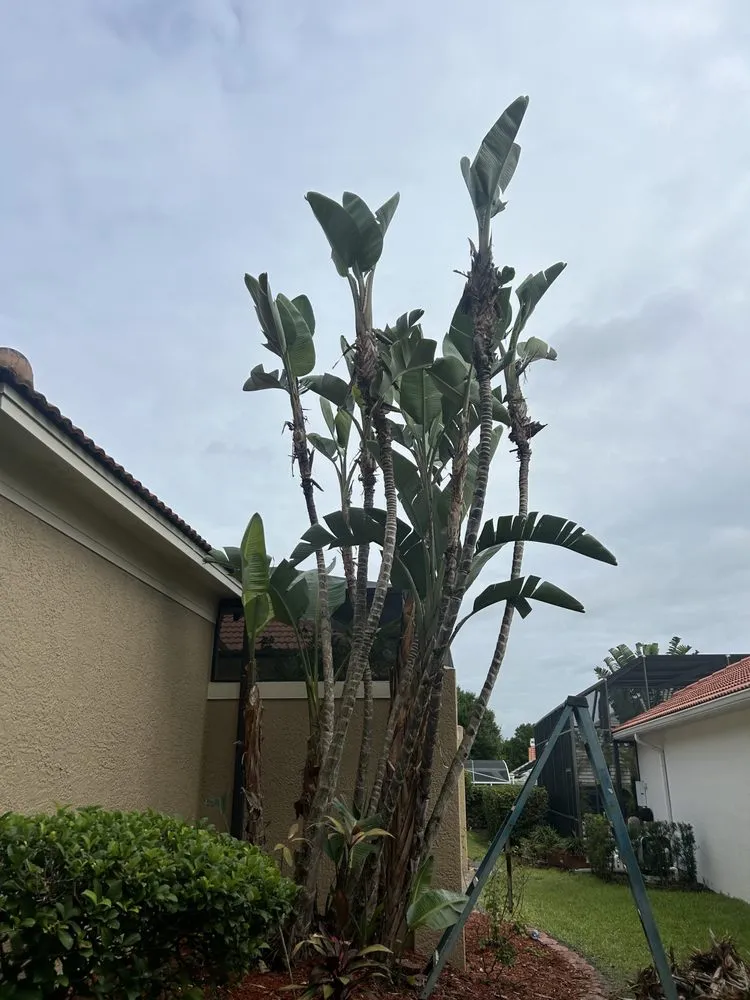 Expert landscape installation in Orlando, FL - Sleber Lawn Care