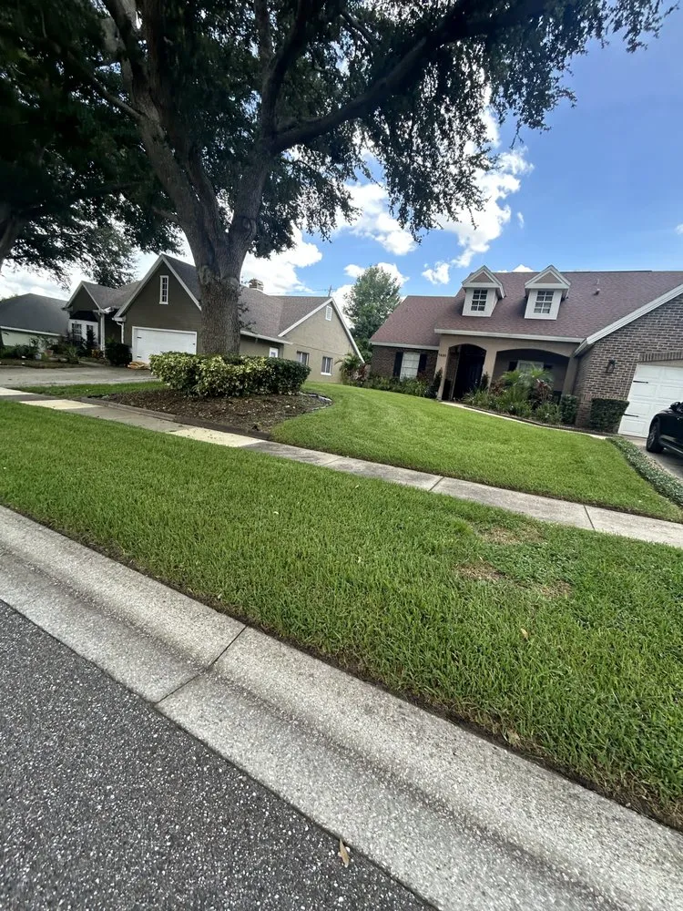 Expert yard cleanup service experts serving Orlando, FL - Sleber Lawn Care