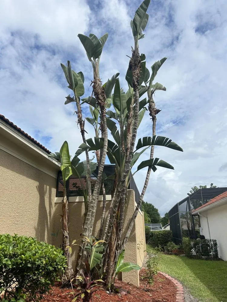 Affordable landscaping services in Orlando, FL - Sleber Lawn Care