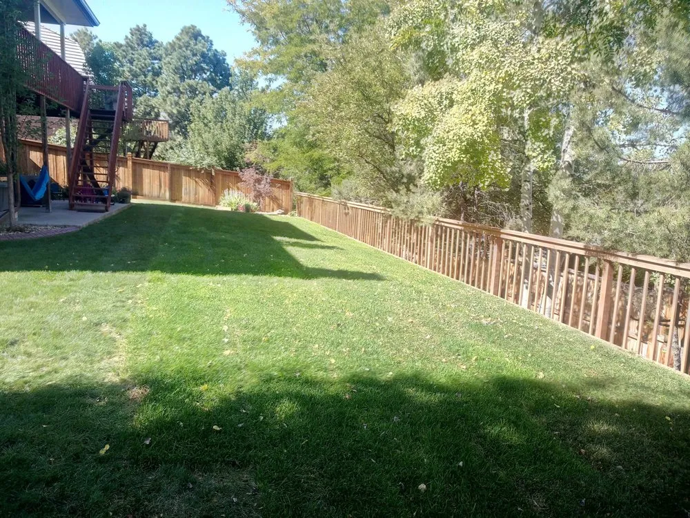 Top-rated landscaping services in Fayetteville, GA by Sledge and Edge