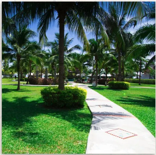 Custom yard cleanup service in Pensacola, FL by Sledge N Sledge