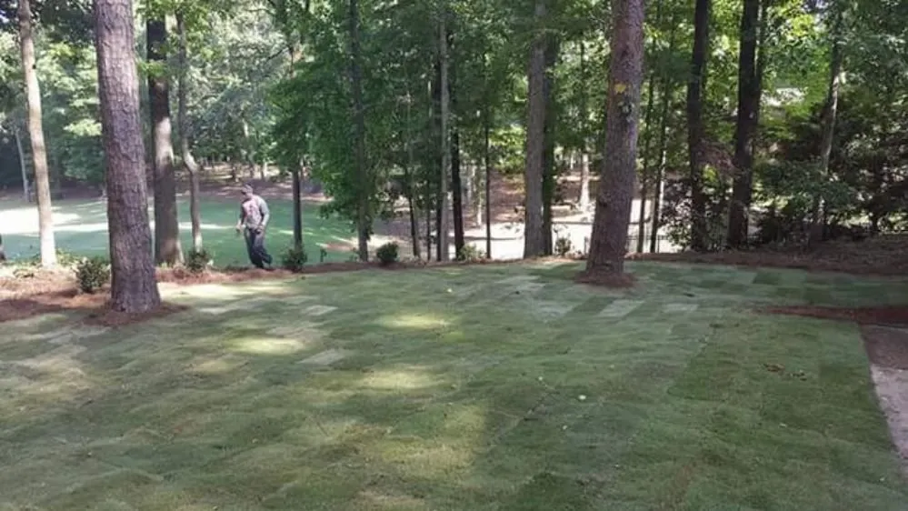 Affordable yard maintenance for beautiful yards in Vance, AL by Sledge