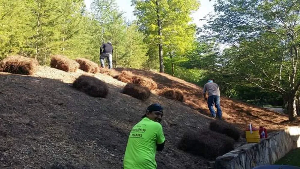 Local lawn mowing service experts serving Vance, AL - Sledge