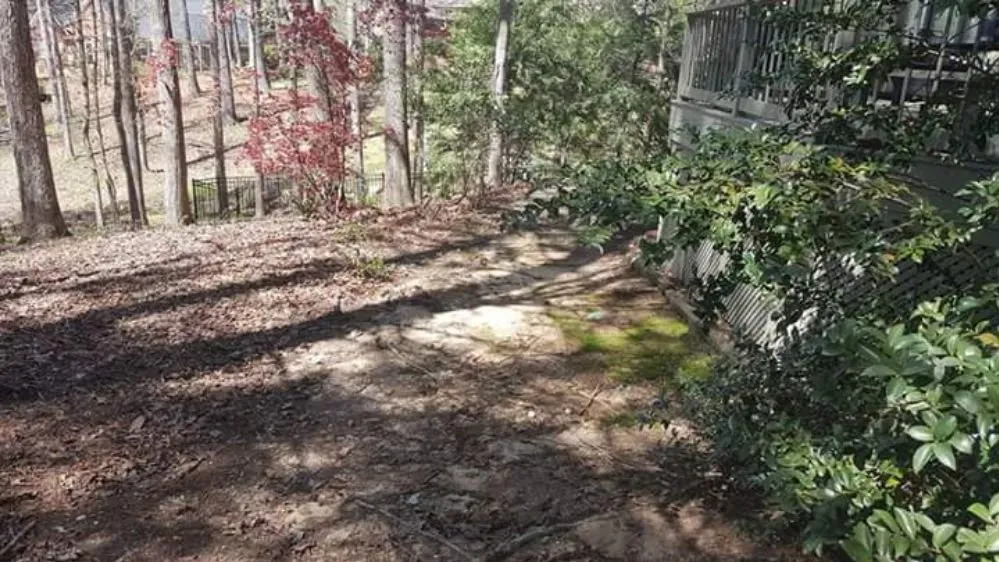 Professional lawn care service experts serving Vance, AL - Sledge