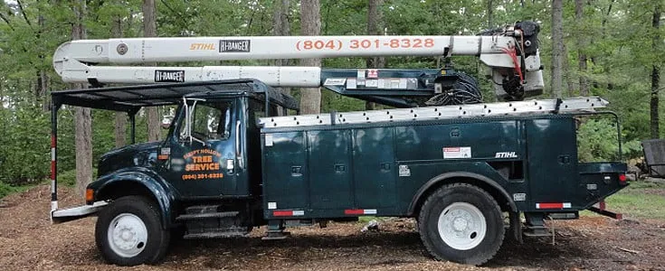 Trusted landscape installation in Montpelier, VA - Sleepy Hollow Landscaping and Tree Service