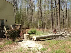 Trusted landscape design experts serving Montpelier, VA - Sleepy Hollow Landscaping and Tree Service
