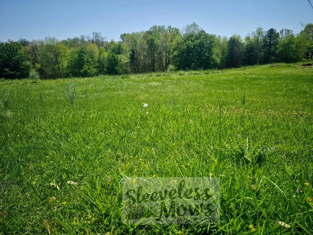 Reliable yard maintenance experts serving Kingston, TN - Sleeveless Mows