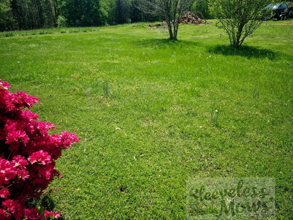 Professional landscape installation for residential properties across Kingston, TN - Sleeveless Mows