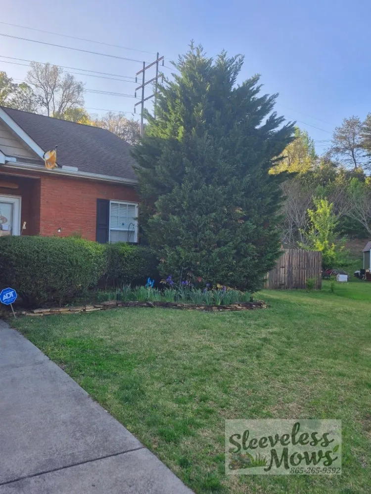 Affordable landscape installation in Kingston, TN by Sleeveless Mows