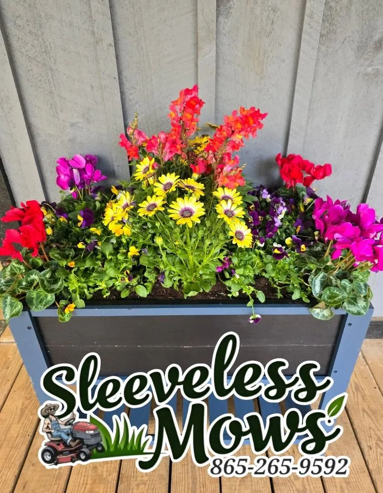 Top-rated landscape design in Kingston, TN by Sleeveless Mows