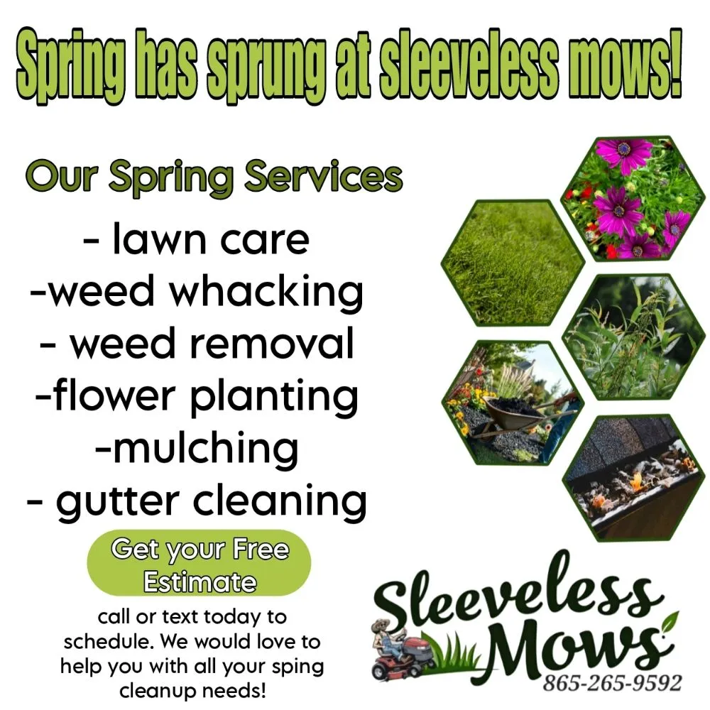Expert yard cleanup service for year-round maintenance across Kingston, TN - Sleeveless Mows
