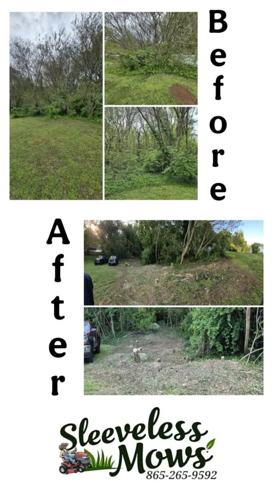 Professional landscape installation with custom design in Kingston, TN by Sleeveless Mows