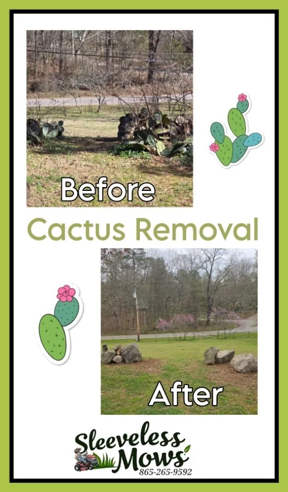 Professional lawn care service for outdoor upgrades in Kingston, TN by Sleeveless Mows