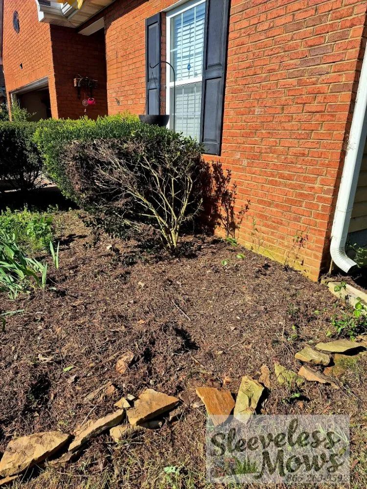 Custom residential landscaping in Kingston, TN by Sleeveless Mows