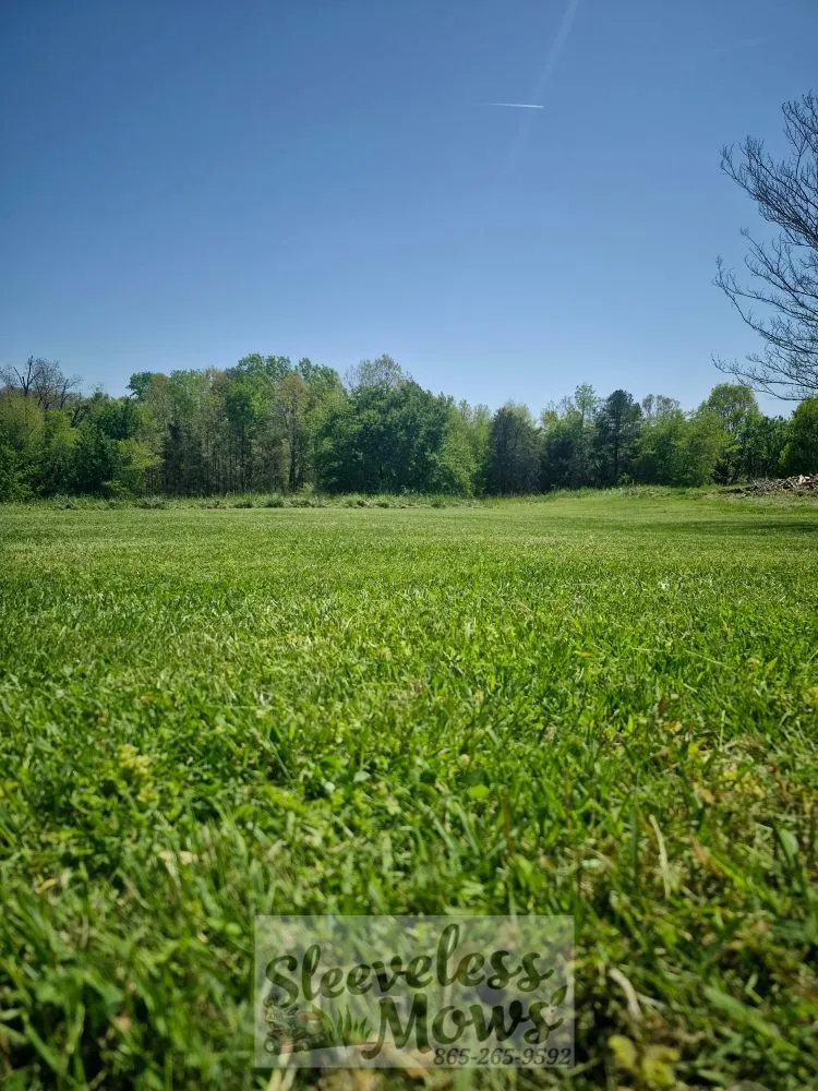 Local residential landscaping for residential properties across Kingston, TN - Sleeveless Mows