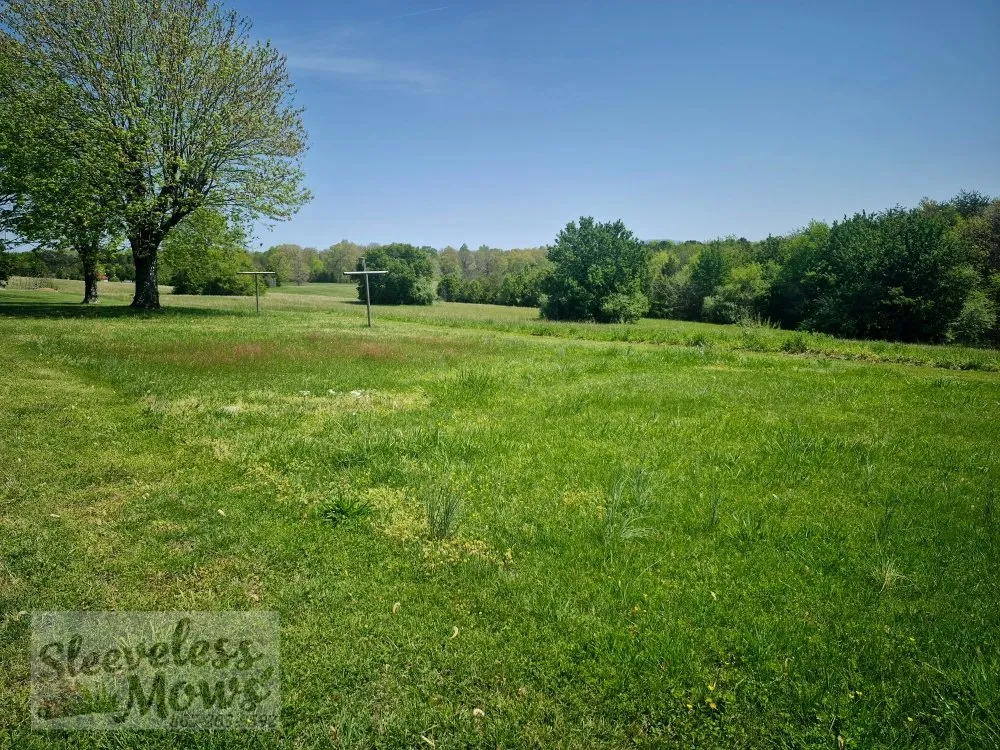 Affordable residential landscaping experts serving Kingston, TN - Sleeveless Mows