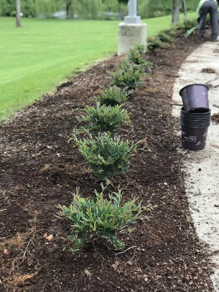 Local yard maintenance for outdoor upgrades in Murfreesboro, TN by Sleezo Landscaping