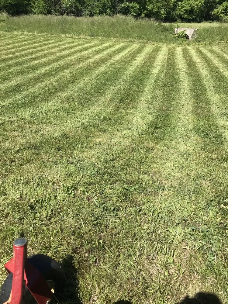 Affordable yard maintenance for beautiful yards across Murfreesboro, TN - Sleezo Landscaping