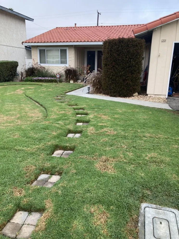 Top-rated landscape installation in Oxnard, CA by SLGgardening And Landscape