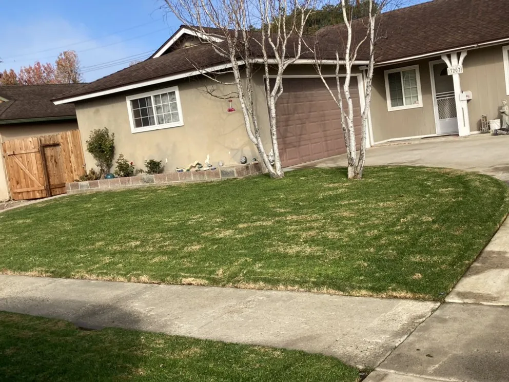Top-rated yard maintenance for homes in Oxnard, CA by SLGgardening And Landscape