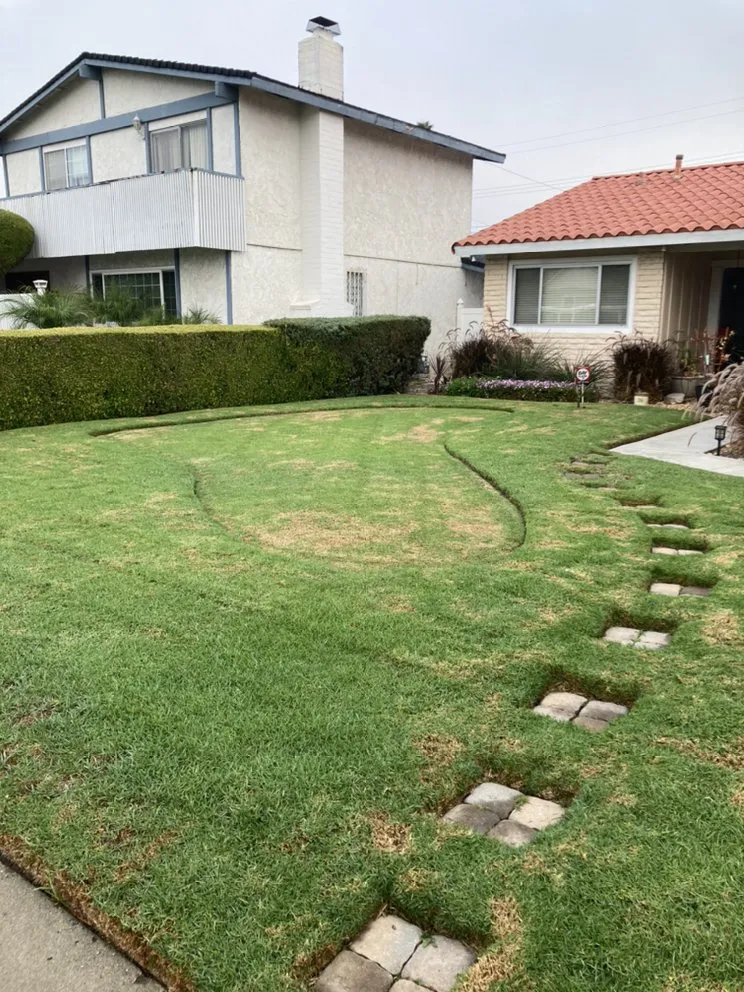 Affordable lawn care service in Oxnard, CA by SLGgardening And Landscape